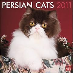 Persian Cats 2011 Calendar