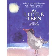 The Little Tern: A Story of Insight