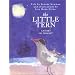 The Little Tern: A Story of Insight