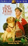  Far From Home: The Adventures of Yellow Dog