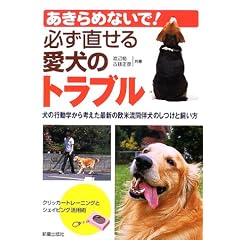 ������߂Ȃ���!�K�������鈤���̃g���u���\���̍s���w����l�����ŐV�̉��ė��������̂����Ǝ�����