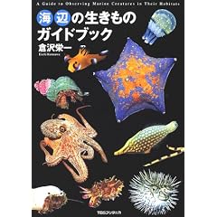 海のいきもの
