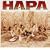 �n�p