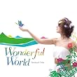 Wonderful World