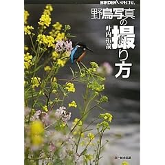 �쒹�ʐ^�̎B��� (BIRDER SPECIAL)