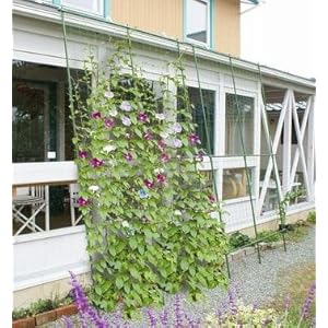 【クリックで詳細表示】DAIM 緑のカーテン 3m 伸縮ワイド1800