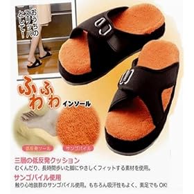 ���C�_�C ���쎮 �Ђ��ɂ₳�������r�P�A 22.5~25cm �u���b�N���I�����W ECM058