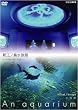 NHKDVD ������~An Aquarium~ �V�]�m��������