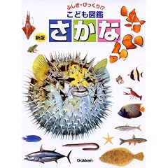 ������ (�ӂ����E�т�����!?���ǂ��}��)