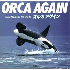 �I���J�A�Q�C���\ORCA AGAIN