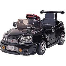�y�_���� �X�J�C���C�� GT-R R34