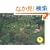 �^�[�V���E�e���[�_�[�̃J�����_�[2010 �^�[�V���E�e���[�_�[�Ɖ߂����₷�炬��12�J��