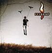 Flyleaf (W/Dvd) (Ring) (Spec)