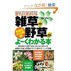 �X�ł悭��������G����쑐����[���킩��{