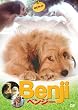 �x���W�[ [DVD]