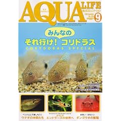 AQUA LIFE (�A�N�A���C�t) 2006�N 09���� [�G��]