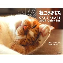 �˂��̂������J�����_�[2009