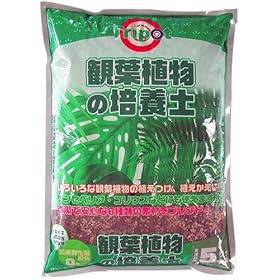 �g���C�|�b�g �ϗt�A���̔|�{�y 5L