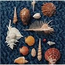 CYCLE HIT1991-1997Spitz Complete Single Collection