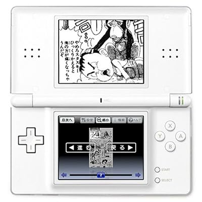 DSvision [�������������å�] ����microSD������ 512MB�դ�