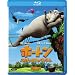 Animation. �t�H�b�N�X�E�\�j�[�E���̑�