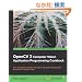 OpenCV 2 Computer Vision Application Programming Cookbook: Over 50 Recipes to Master This Library of Programming Functions for Real-time Computer Vision