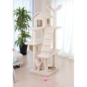 �I���W�i���˂��^���[�@�L�e�B�X�e�b�v