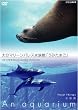 NHKDVD ������~An Aquarium~ �啪�}���[���p���X�����فu���݂��܂��v