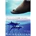 NHKDVD ������~An Aquarium~ �啪�}���[���p���X�����فu���݂��܂��v