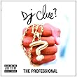 Professional