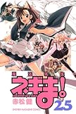 魔法先生ネギま! 25 (25) (少年マガジンコミックス)