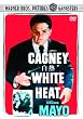 ���M ���ʔ� [DVD]