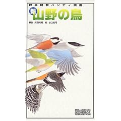 �V�E�R��̒� (�쒹�ώ@�n���f�B�}��)