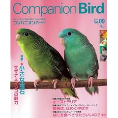 Companion Bird No.9 (2008)�\�������Ɗy�������K�ɕ�炷���߂̏�� (SEIBUNDO Mook)