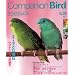 Companion Bird No.9 (2008)�\�������Ɗy�������K�ɕ�炷���߂̏�� (SEIBUNDO Mook)