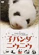 �q�p���_ �j�E�j�E [DVD]