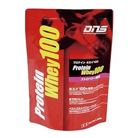 DNS �v���e�C���z�G�C100
