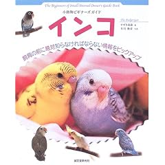 �C���R (�������r�M�i�[�Y�K�C�h)