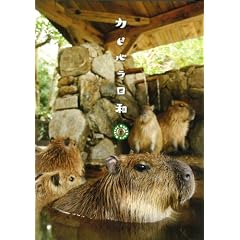 �J�s�o�����a [DVD]