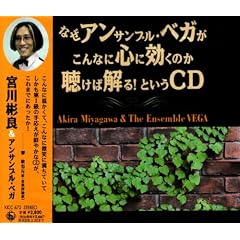 �Ȃ��A���T���u���E�x�K������ȂɐS�Ɍ����̂������Ή���!�Ƃ���CD