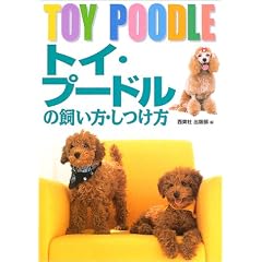 �g�C�E�v�[�h���̎������E������