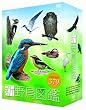 �V �쒹�}�� DVD-BOX �S4���Z�b�g