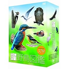 �V �쒹�}�� DVD-BOX �S4���Z�b�g