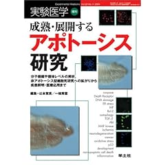 ������w (Vol.22No.11(2004����))