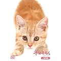 �l�R�~�� �������� [DVD]