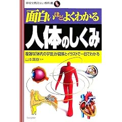 �ʔ����قǂ悭�킩��l�̂̂����݁\���G�ȁu�̓��̉F���v���}���ƃC���X�g�ň�ڂł킩�� (�w�Z�ŋ����Ȃ����ȏ�)