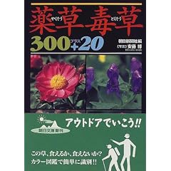 �򑐓ő�300�v���X20 (��������)
