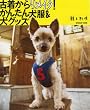 �Ò����烊���C�N!���񂽂񌢕�&���O�b�Y�\gg�Ƃ����� (INFOREST MOOK)