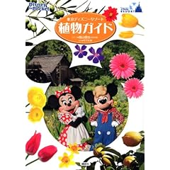 Disney�@in�@Pocket�@�����f�B�Y�j�[���]�[�g�A���K�C�h (Disney in Pocket)