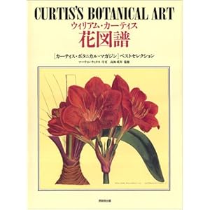 �E�B���A���E�J�[�e�B�X�Ԑ}���\�q�J�[�e�B�X�E�{�^�j�J���E�}�K�W���r�x�X�g�Z���N�V����  